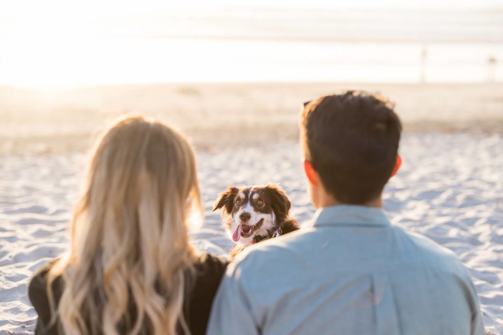 Kellen McaVoy’s dog smiling back at her and her hubby on the San Diego beach during the branding photoshoot.

