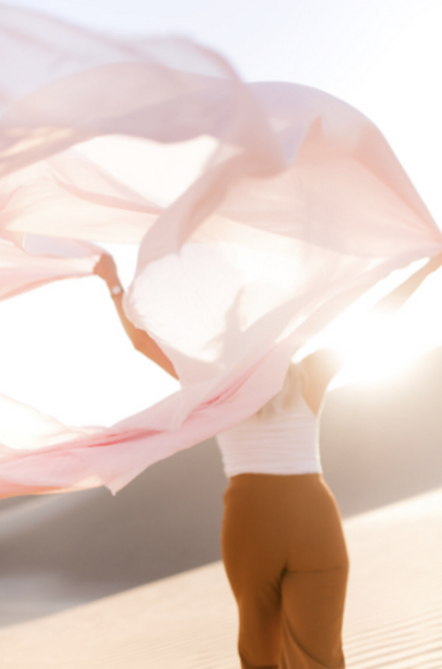 Woman walking away from the camera holding onto a clear silk sheet while it blows in the wind at the beach. 